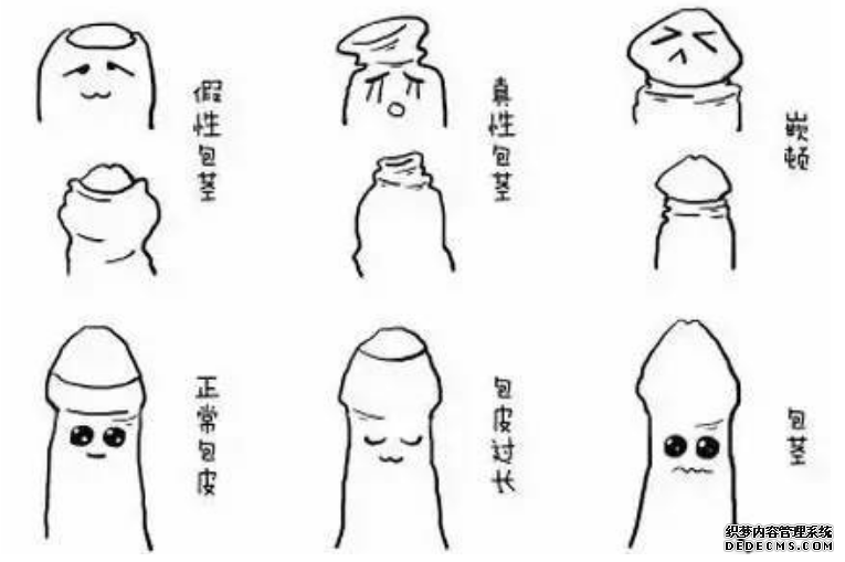 赤峰大调查：女生真的大部分都无法接受包茎男